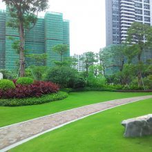 中山地產綠化園林施工價格詳解與佛嶺景觀實景鑒賞